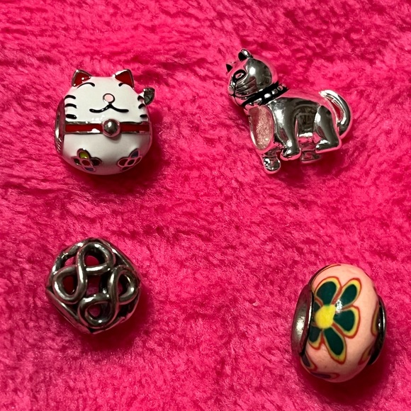 Assorted Pandora Compatible Charms - Picture 1 of 1
